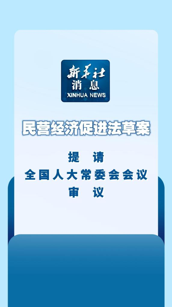 The Draft on the Promotion of the Private Economy Submitted to The Standing Committee of the National People's Congress for Second Revision